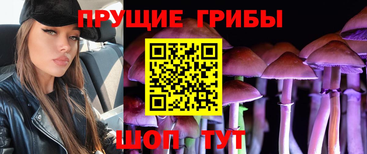 Галлюциногенные грибы Cubensis  Галлюциногенные грибы GOLDEN TEACHER  Вход с VPN  Курган 
